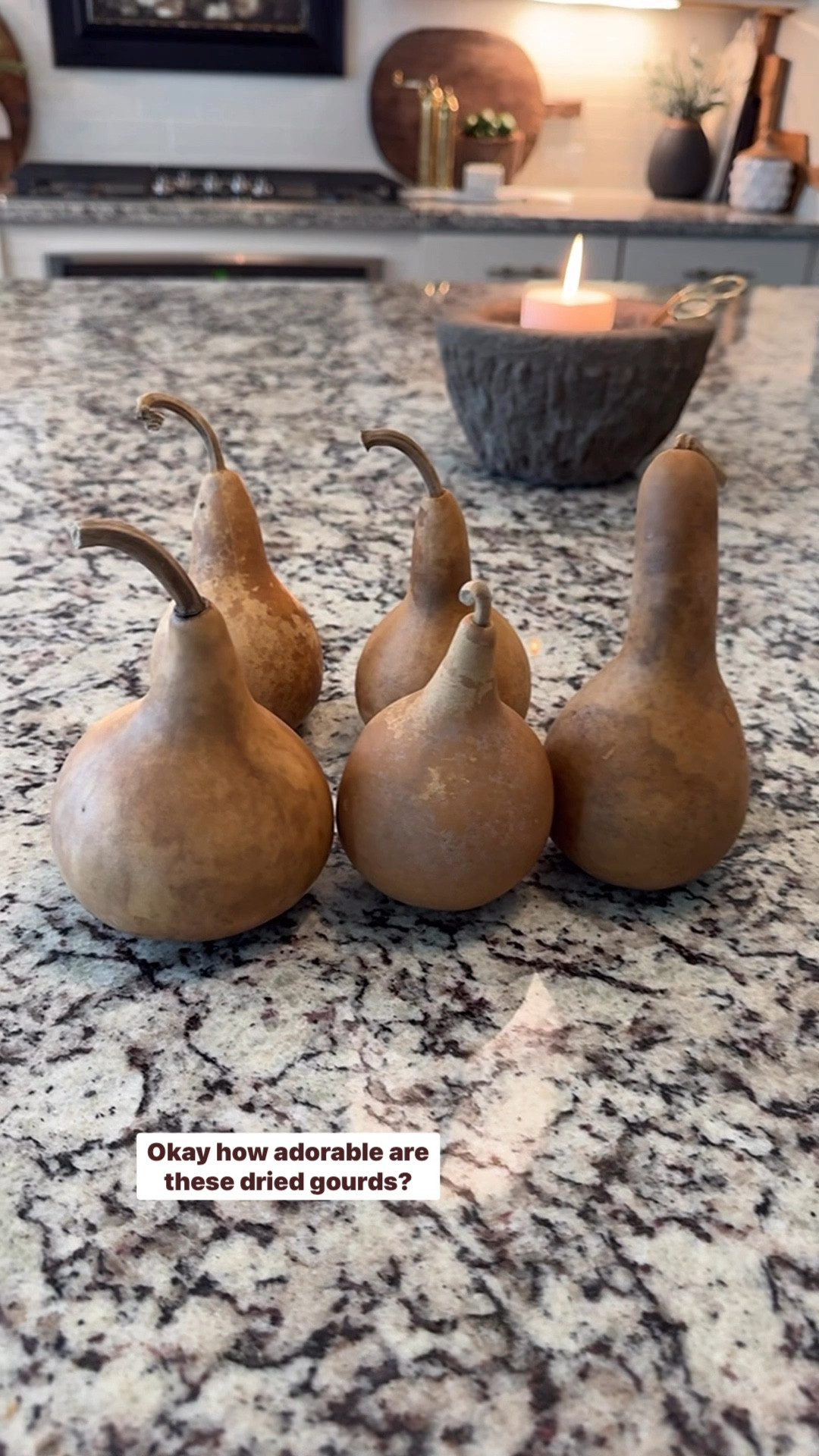 DRIED GOURDS
The perfect fall accessory. These would be darling styled in a bowl or basket.


#LTKSeasonal #LTKHome #LTKFindsUnder50