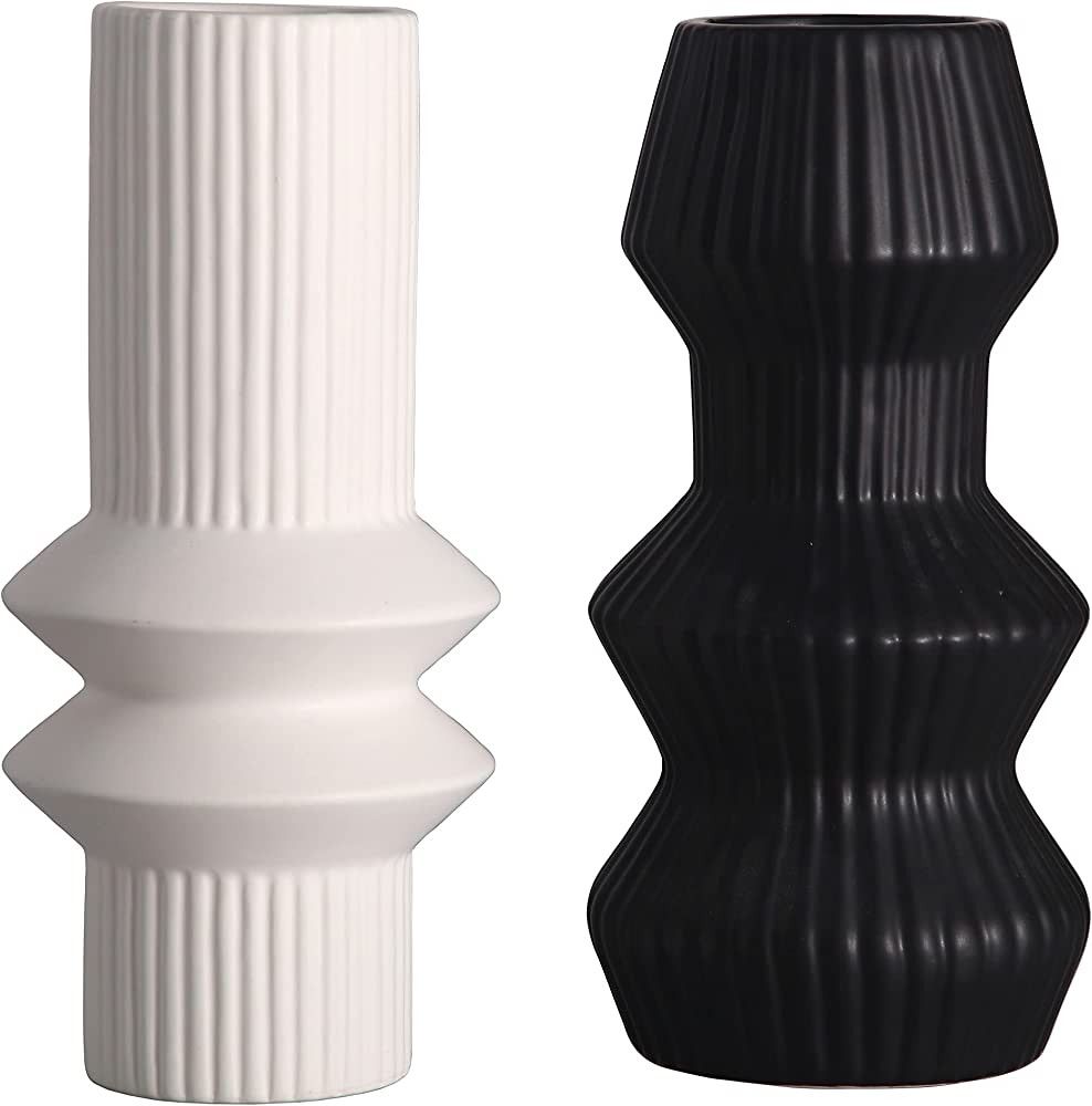 TERESA'S COLLECTIONS Modern Geometric Ceramic Vase for Home Decor, Black and White Decorative Vas... | Amazon (US)