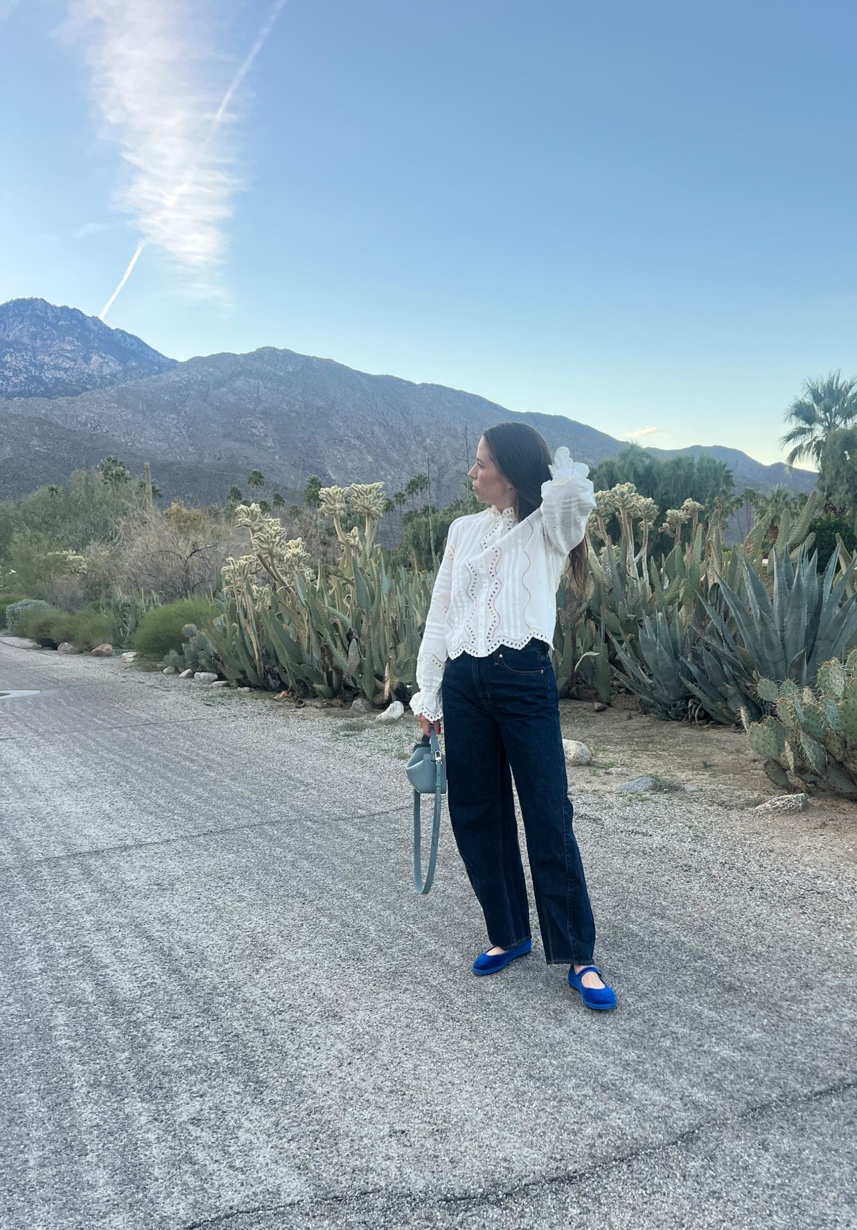 Quiet luxury, French girl aesthetic, Sezane, white lace top, simple white top, work top, going out top, over 40 going out top, perfect barrel jeans, bright blue flats, velvet Mary jeans, gap jeans, Flabelus, the horse, cool girl bag 

#LTKValentine #LTKgrwm #LTKOver40