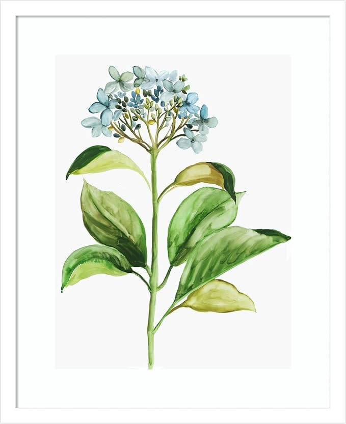 Amanti Art Framed Wall Art Print 21x17 Little Hydrangea by PI Studio, Flowers Wall Art, Modern Co... | Amazon (US)
