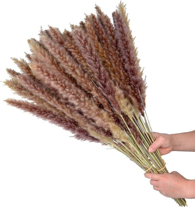 24”(2ft) Pampas Grass Large 60Pcs Tall Dried Pompous Grass Pompass Branches for Vase Flower Arr... | Amazon (US)