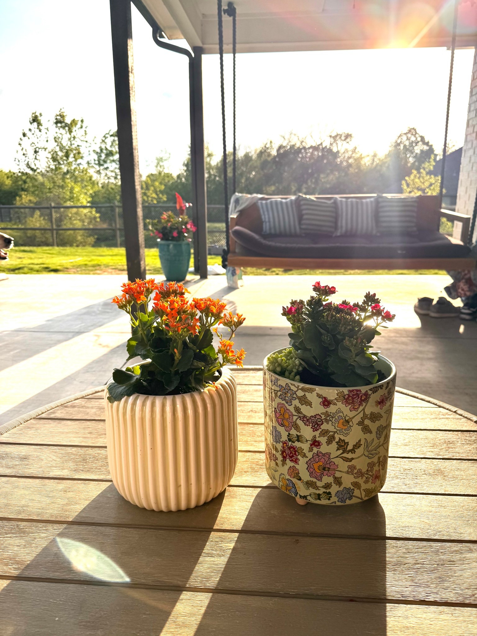Walmart does it again!! Drew Barrymore’s Beautiful collection is everything this spring!!! Green & cream stripes on sale rn for $13!!

$20 planters, and they’re much bigger and heavier than I expected. Gorgeous & the perfect spring refresh pieces! These are selling FAST so run & grab them!!

Spring refresh back patio decor tabletop planters flowers backyard Walmart finds Walmart steals outdoor decor seasonal summer spring 

#LTKSeasonal #LTKHome