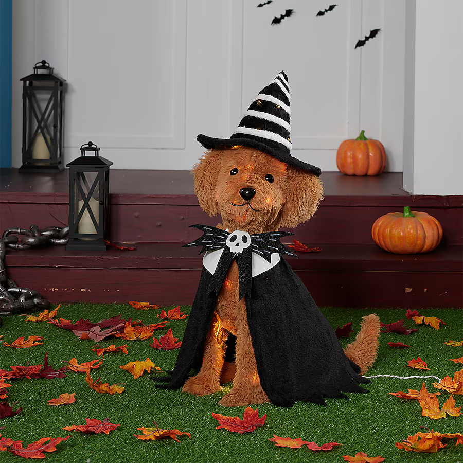 Haunted Living 2-ft Lighted Witch Dog Decoration | Lowe's