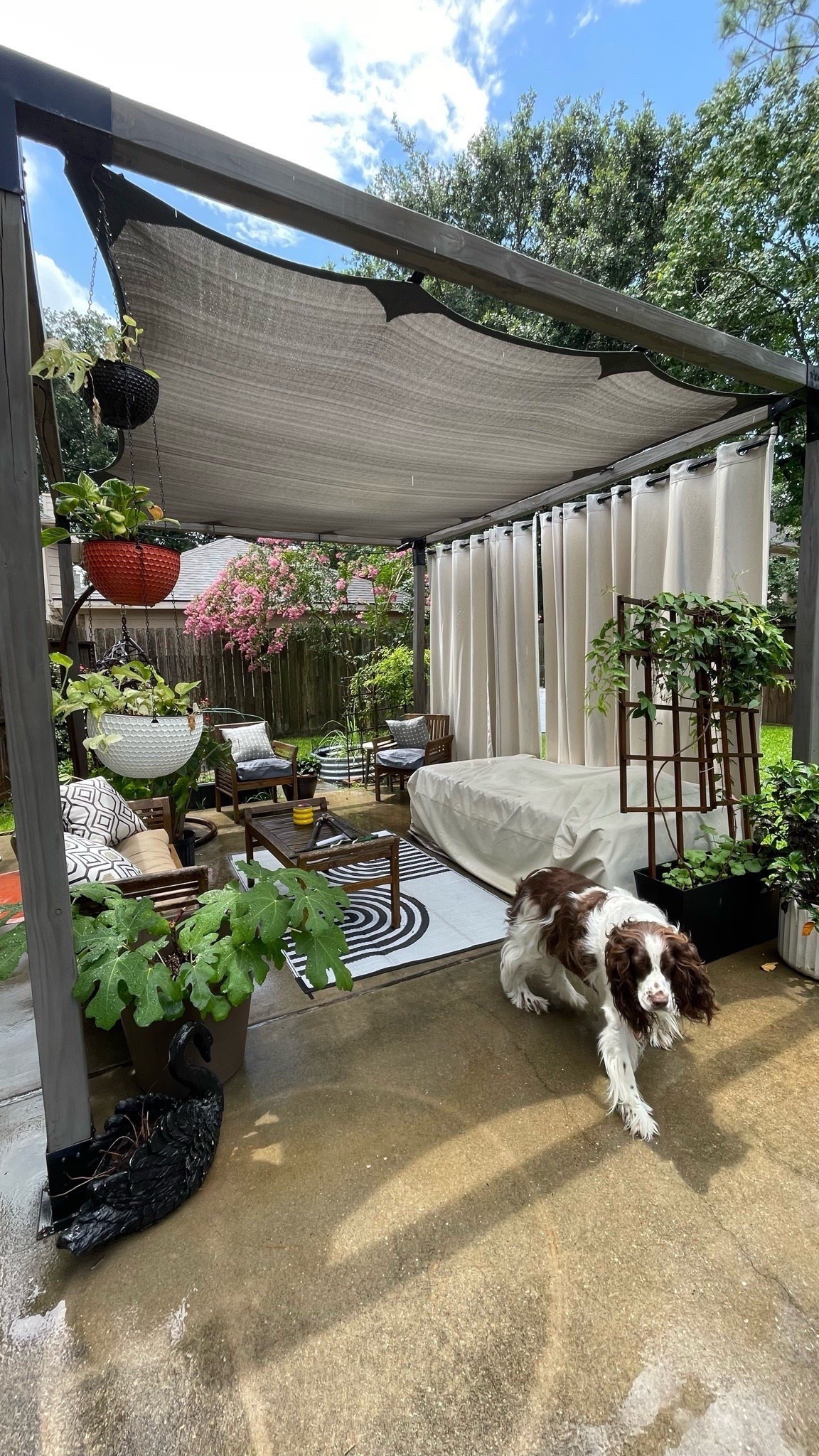 Now that Summer is in full swing we need all the shade and outdoor comfort we can get! I decided to hang some waterproof outdoor curtains to help protect the family from UV rays while hanging out outside in the backyard. The curtains can be drawn back at tied to the pergola posts or fully extended to provide privacy from neighbors and shade over our outdoor bed. I’m using 4 52-84” panels to fit the 12’ side of the 10’x12’ pergola  In the far corner I’ve tucked an egg chair because it’s always fun to hang in swing seat. 

Related outdoor decor also linked large planters hanging plant baskets outdoor rug patio set

#LTKHome #LTKFamily #LTKSummerEdit