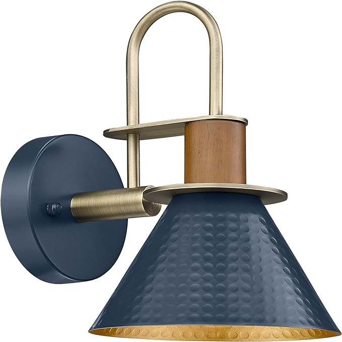 Modern Wall Sconces, HWH Industrial Sconce Wall Lighting Indoor Wall Lamp, 1-Light Barn Vanity Li... | Amazon (US)