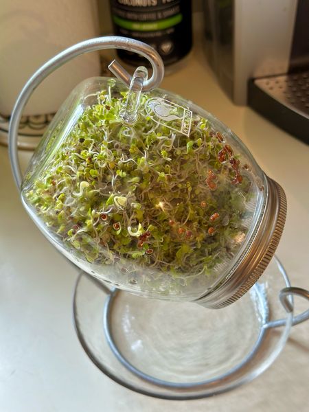 Sprout your own healthy seeds! The research suggests that the health benefits of broccoli sprouts can be attributed, in part, to the plentiful polysulfides present in them. Sprouts are the miniature, concentrated versions of the plants they will develop into. They offer a nutrient-dense, cost-effective, quick-growing option for anyone wanting to grow their own food in a small space!! Grow your own today! 

#LTKFamily #LTKHome #LTKFitness