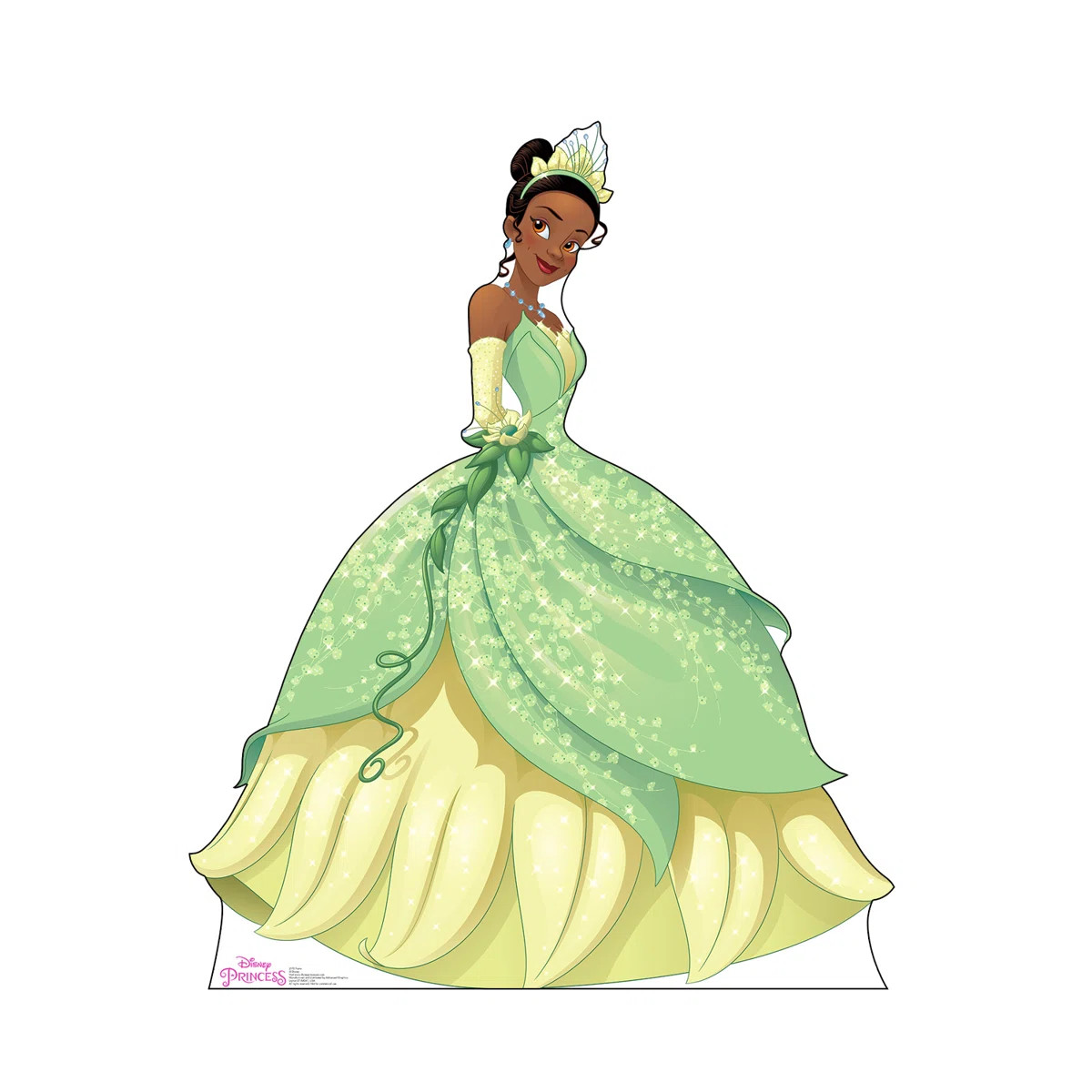 Advanced Graphics Tiana Life Size Cardboard Cutout & Reviews | Wayfair | Wayfair North America