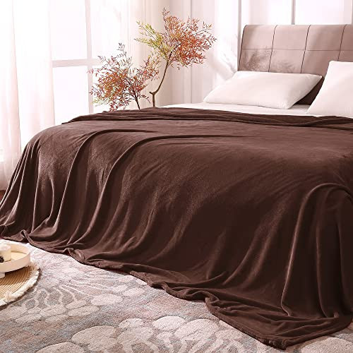 BEDELITE Fleece Blankets Queen Size Brown Throw Blankets for Bed, Luxury Plush Cozy Fuzzy Blanket 90x90 inches, Super Soft Warm Lightweight Throw Blanket All Seasons Suitable | Amazon (US)