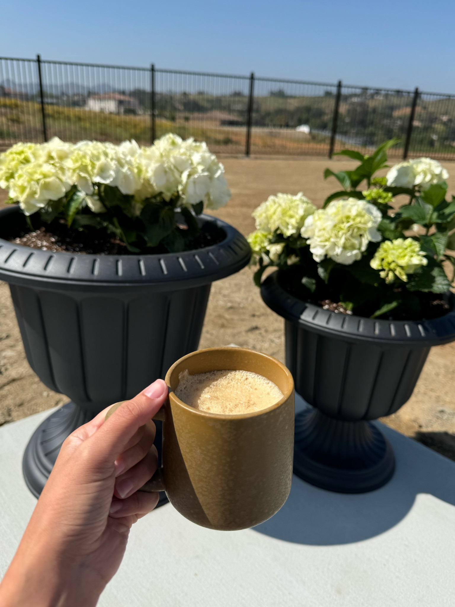 Black urn planters in Large and Medium. Linking another size they had which i didn’t see but need to order! 

Planters, garden, flowers, backyard 

#LTKHome