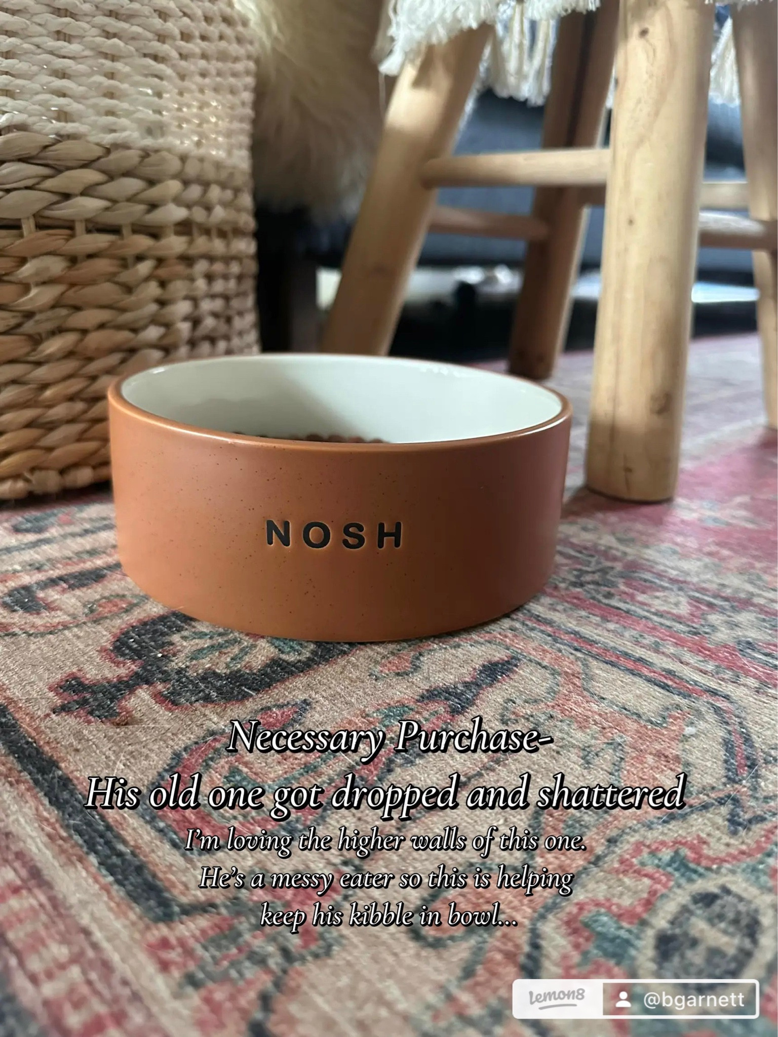 Crosby’s new dog bowl. Under $10 and I just think itLs the cutest! 

Also if you baby if a messy kibble eater try a bow like this will taller was. Has helped my little guy a lot. Much less mess around his bowl. 

Dog bowl | pet parent | pet essentials | under $10

#LTKfindsunder50 #LTKhome #LTKfamily