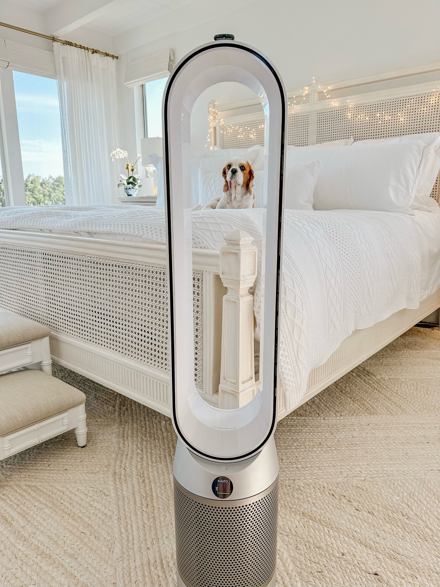 We’re loving the Dyson TP7A Air Purifier & Fan with Auto-React & Remote Control. It’s just what we need during our dusty remodel to help keep our air fresh & clean! 💫

Excited to share that this purifier from @QVC is on sale (today only) for $349 from $549! 👏🏻 We always know that we can trust QVC for their quality, value & convenience!

A few amazing features: 
	•	360° filtration system uses a HEPA filter to capture 99.97% pollutants as small as 0.3 microns.
	•	Circulation power to draw distant particles, gases, and odors into the machine.
	•	Mode to purify without cooling.
	•	Night mode purifies with quiet settings.

Use code FRIEND to receive an additional $10 off a $25 purchase or more (new customers only)! 🤍

#LoveQVC #ad


#LTKFind #LTKhome #LTKsalealert