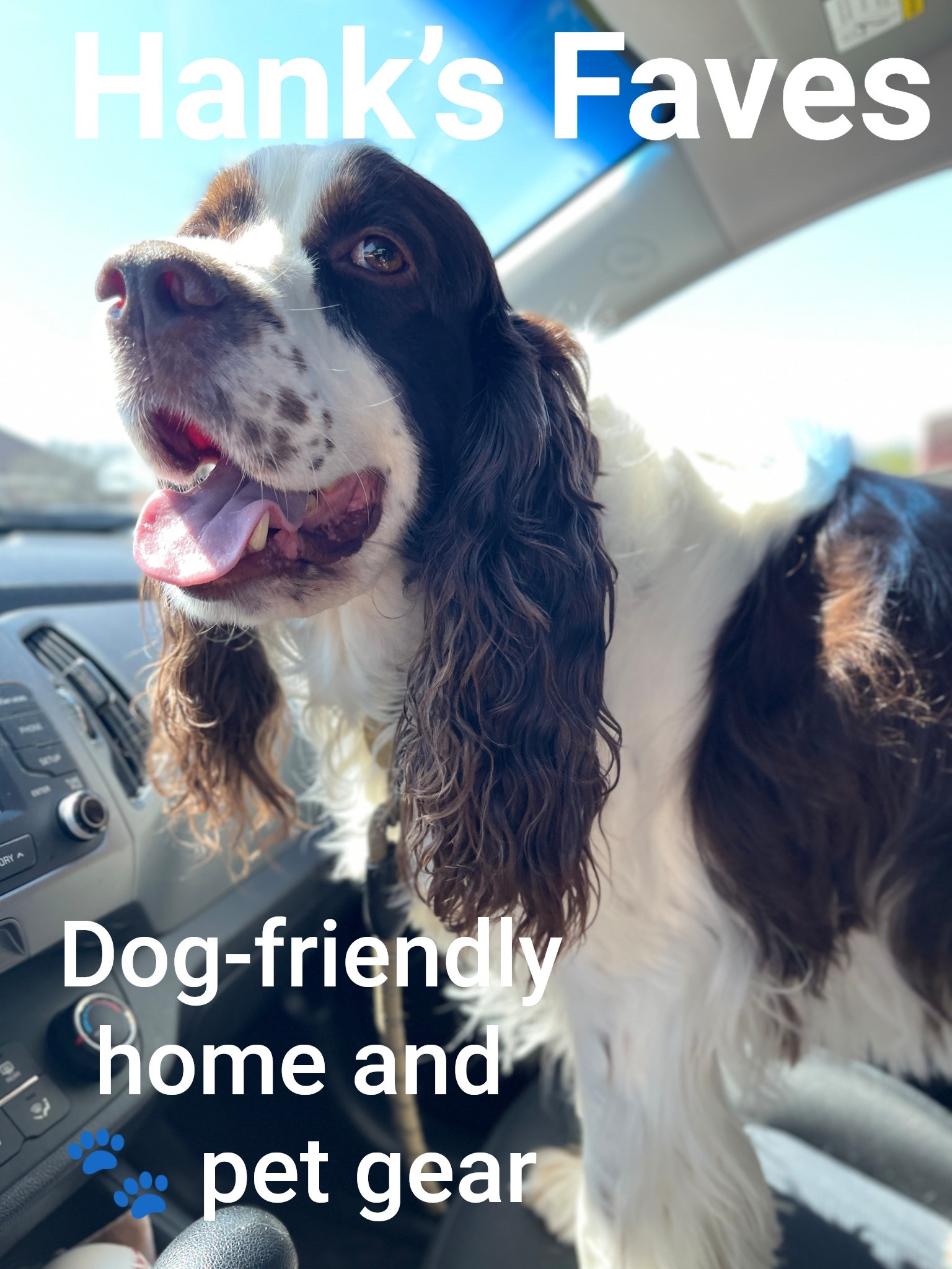 Hank’s favorite toys, dog food storage container (gotta keep the kibble fresh!), and favorite pet grooming products. Okay, the dog shampoo and deodorizer products are OUR favorites because they keep him fresh! I’ve also linked our favorite pet hair removers, which do a great job of picking up pet hair  

#LTKFamily #LTKHome #LTKPets