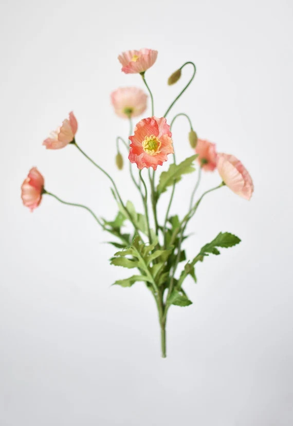 15" Poppy Bush Coral Orange Salmon | Etsy (US)