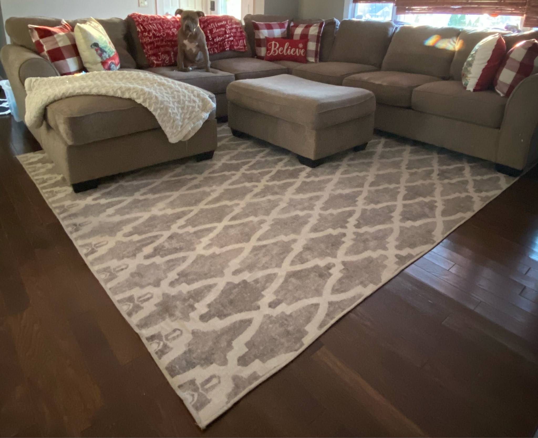 Soraya Trellis Ash Gray Ruggable 🥰

#LTKHome #LTKSaleAlert