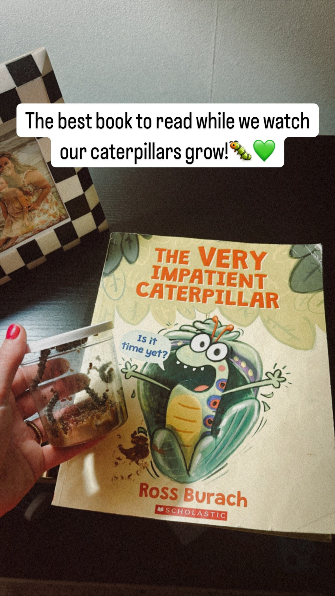 Caterpillar kit and books to read with the kiddos! 

#LTKKids #LTKFamily #LTKFindsUnder50