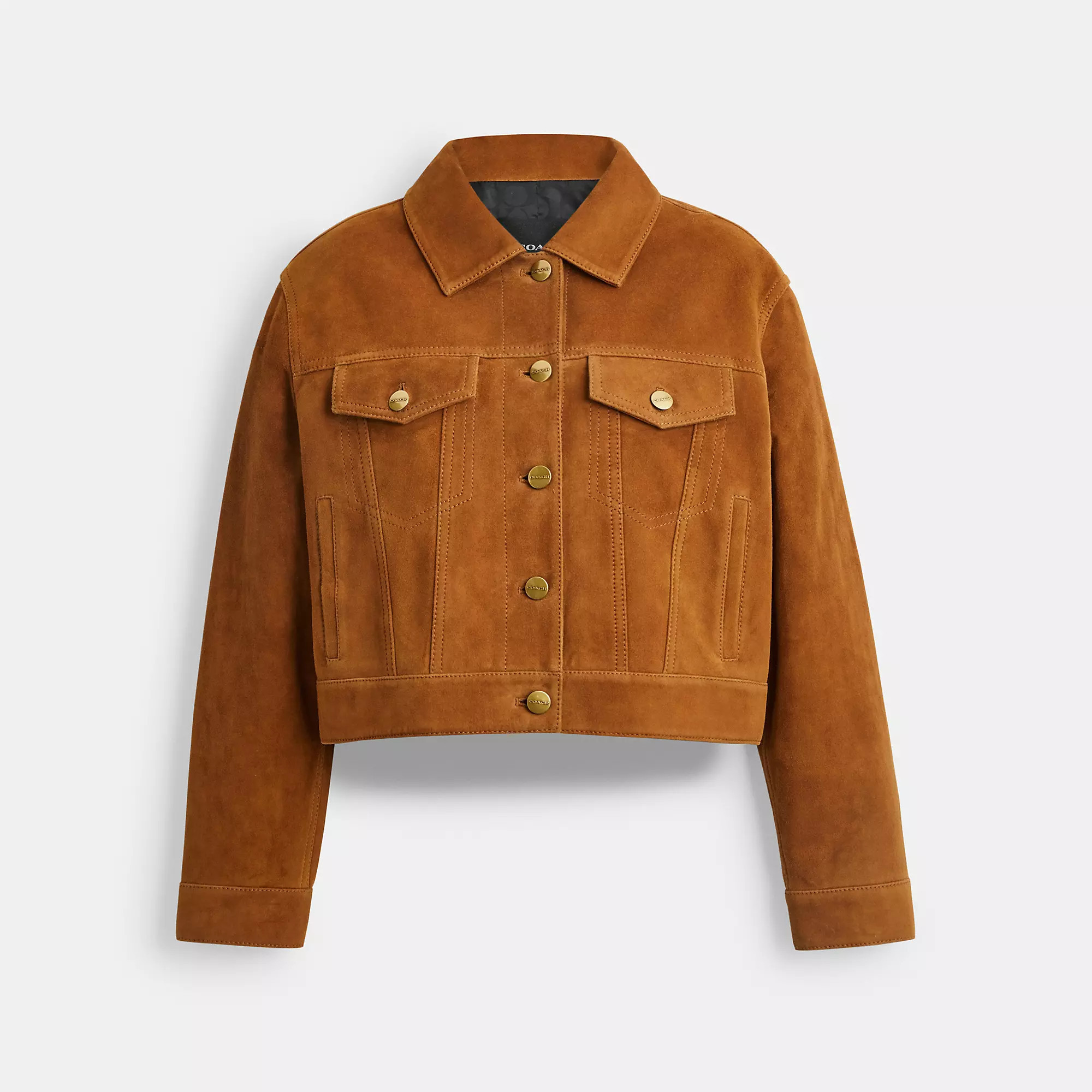 Cropped Suede Jacket | Coach (US)