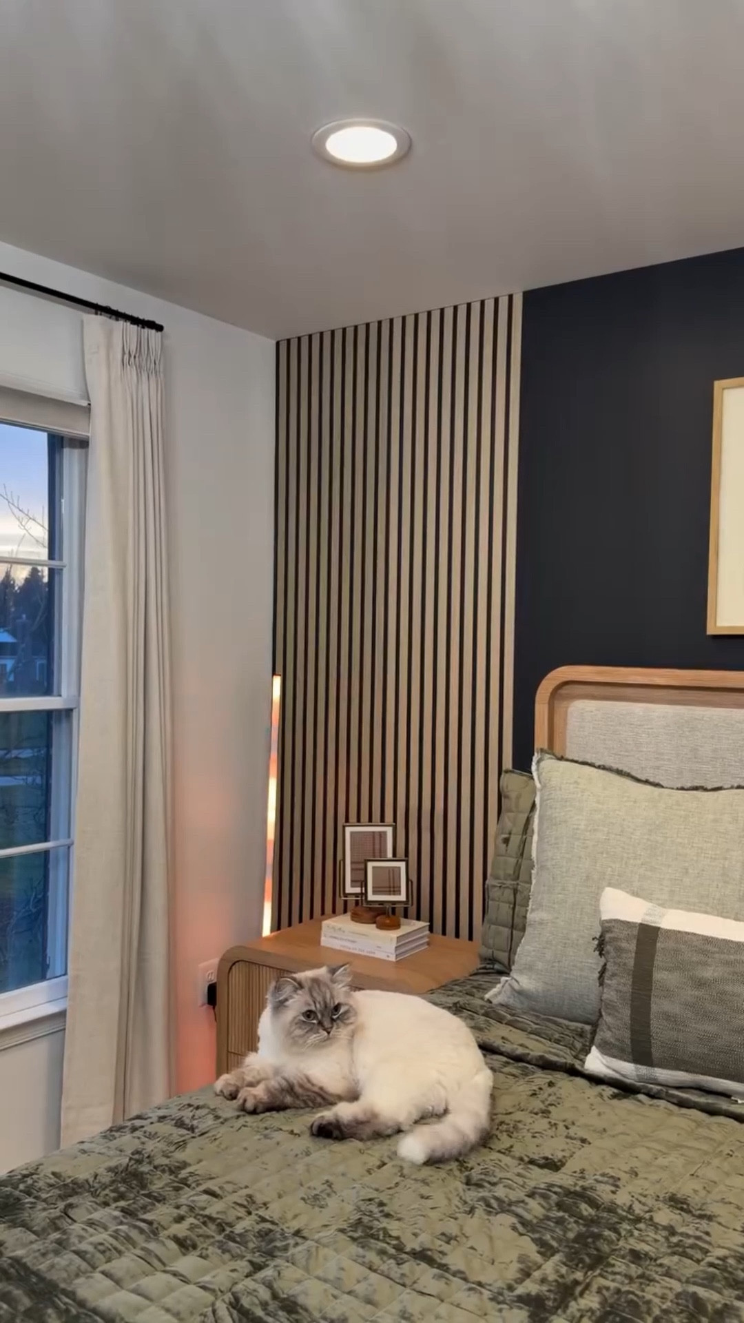 POV: 2 accent lights that instantly  elevates any space! 

Enhancing my foyer mirror with these strip lights! Also this floor lamp can be used in any small space to create beautiful ambiance. the accent lights give your home a modern, elevated feel with lighting that adapts to you. From cozy nights on the couch to full-on party vibes, smart lighting puts the perfect mood at your fingertips!🙌🏼✨
@amazon @amazonhome @wayfair 

Amazon Home Finds
Amazon Finds 
Home inspiration 
Amazon gadgets 
Elevate bedroom ideas 
Viral finds  I don t regret buying 
Home styling

#LTKSeasonal #LTKHome #LTKHoliday