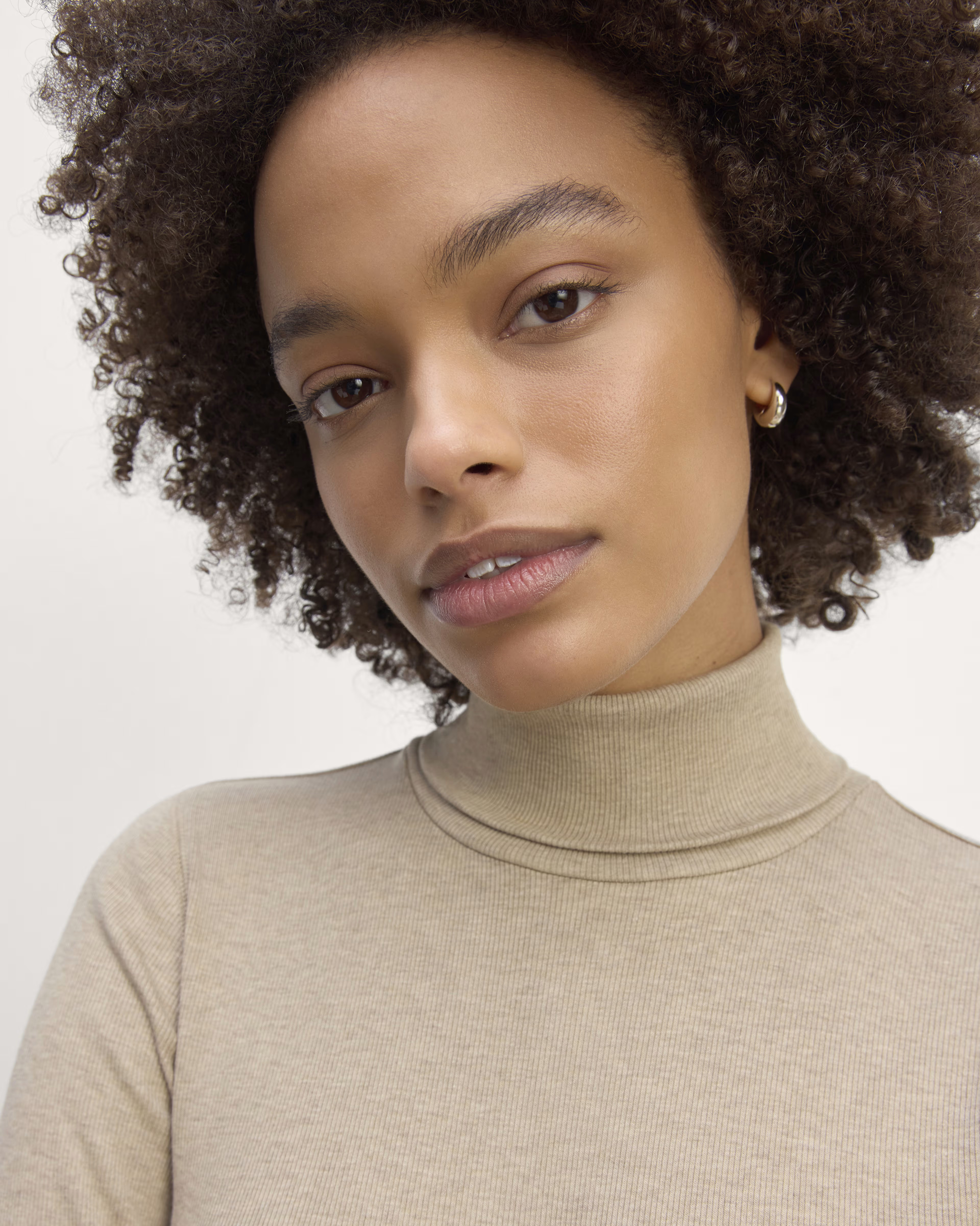 The Luxe Rib Turtleneck | Everlane