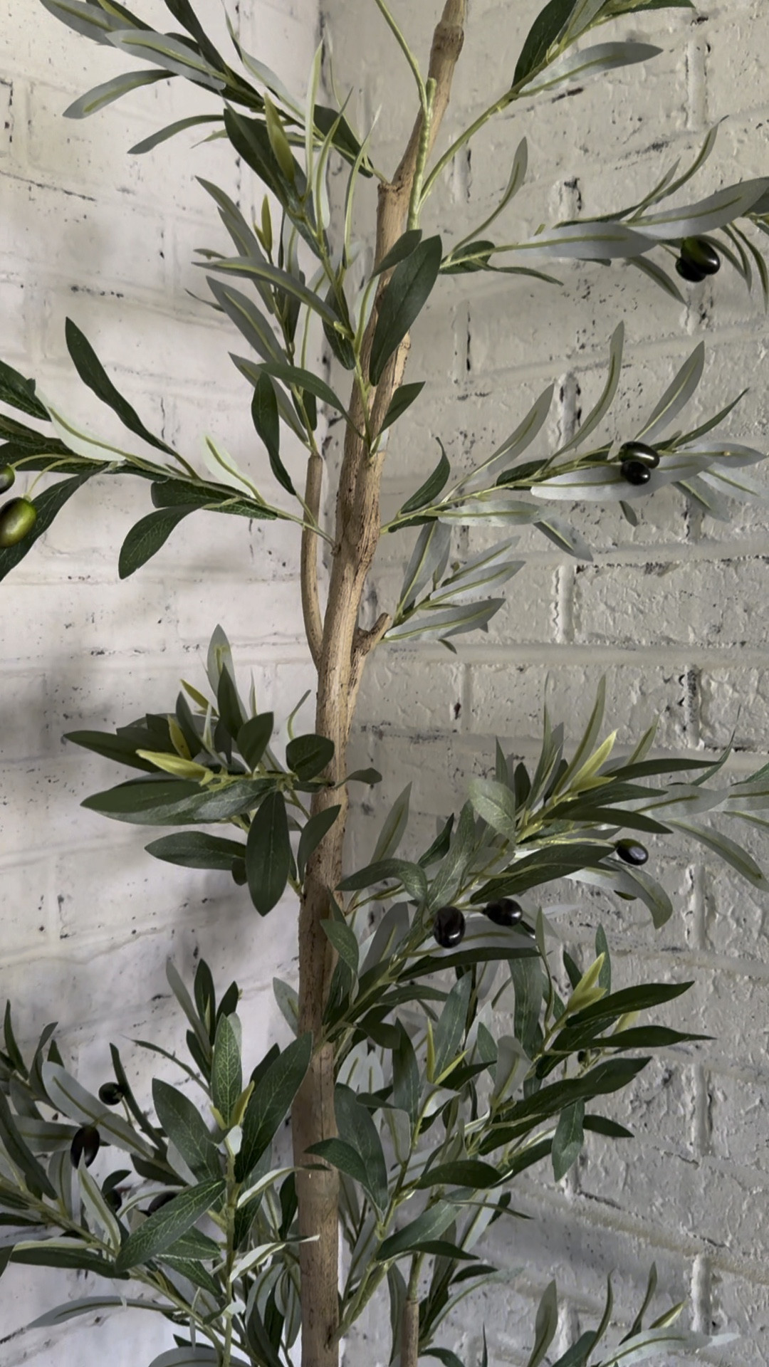 Faux Olive Tree that looks amazing from Amazon! 

#LTKhome #LTKGiftGuide #LTKSeasonal