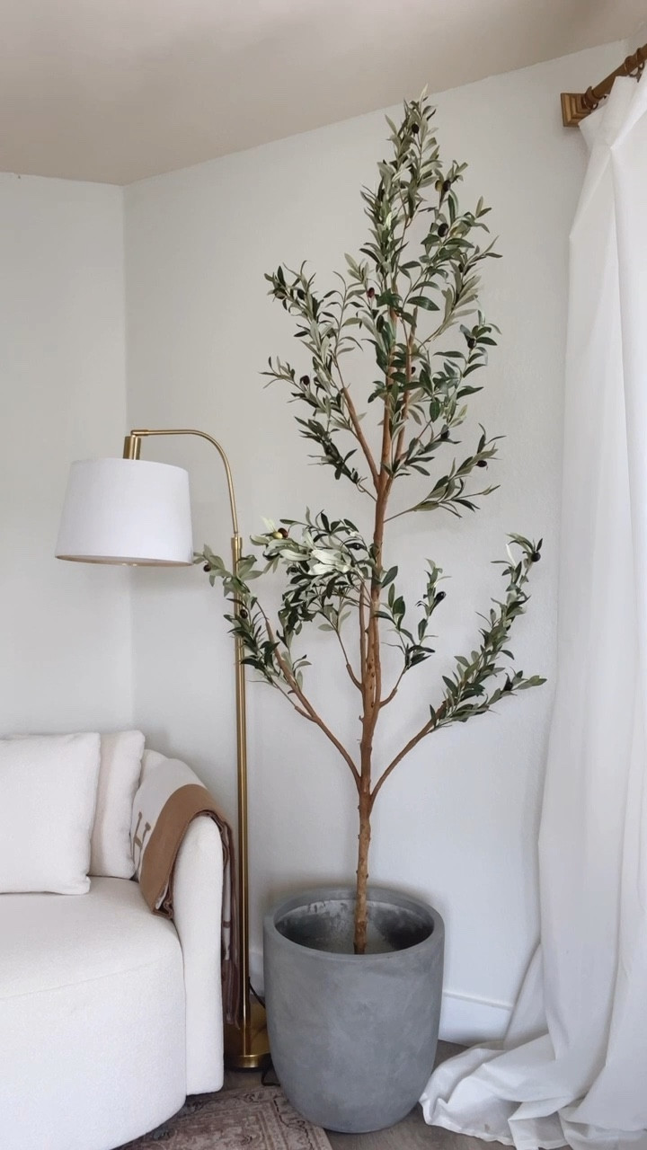 7’ Olive tree. Comes in several sizes even 5’. Viral Walmart. Tree. Home decor. Walmart home. Home. Home decor. Bedding. Throw banker. Sheets. Pillows, Amazon prime day sale. teen room. Prime day sales daily sale. Bedroom rug. Duvet pillow. Sheets. Bedding. Girls room. #LTKxPrimeDay #LTKFind


https://liketk.it/4EozB

#LTKhome #LTKsalealert 

Follow my shop @thesuestylefile on the @shop.LTK app to shop this post and get my exclusive app-only content!

#liketkit 
@shop.ltk
https://liketk.it/4Eu0y

Follow my shop @thesuestylefile on the @shop.LTK app to shop this post and get my exclusive app-only content!

#liketkit #LTKVideo #LTKxWalmart #LTKVideo #LTKHome
@shop.ltk
https://liketk.it/4IYoX

#LTKxWalmart #LTKHome #LTKSaleAlert