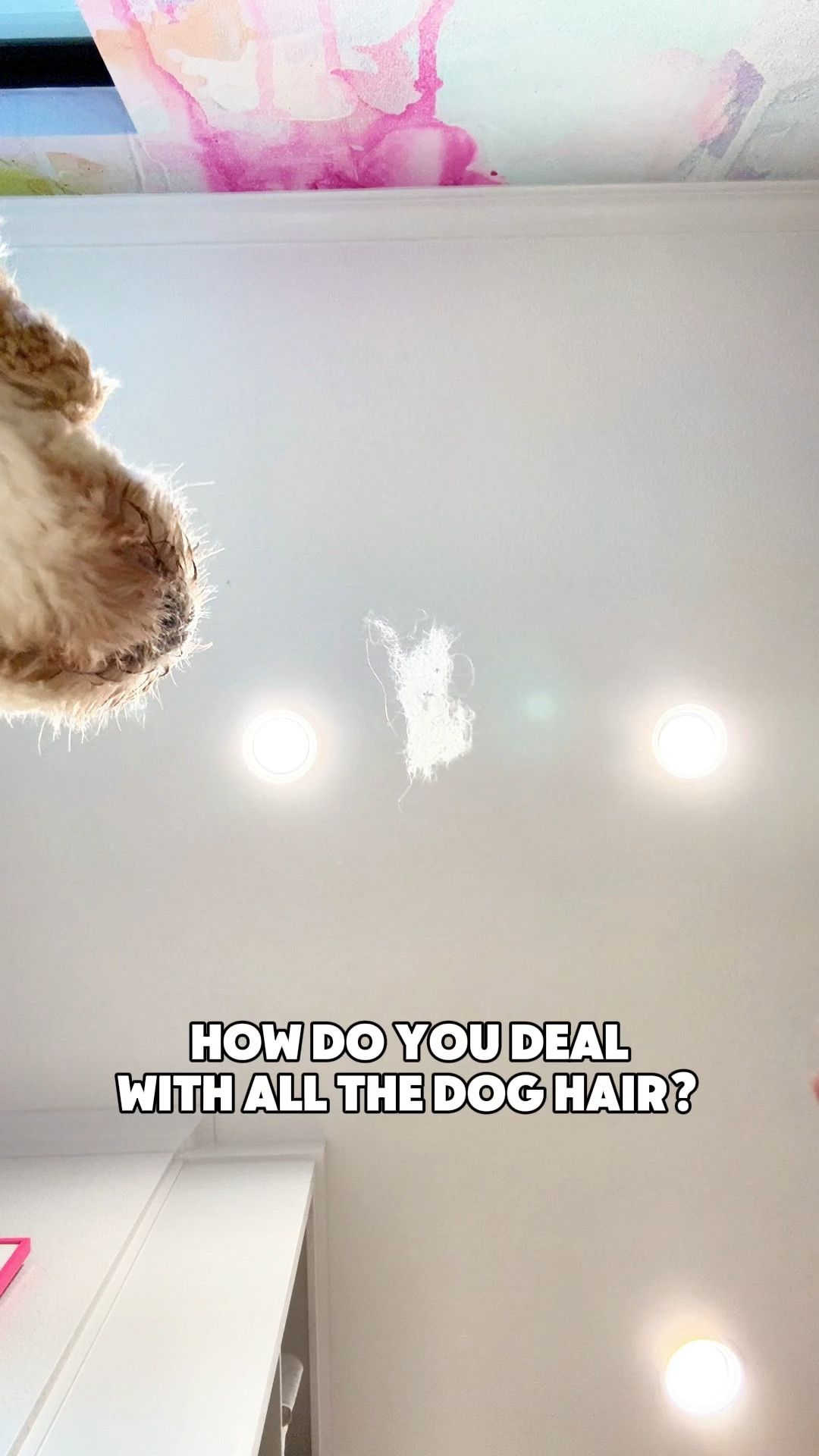 Amazon prime day win! $88 robot vacuum! 

#LTKVideo #LTKHome #LTKFindsUnder100