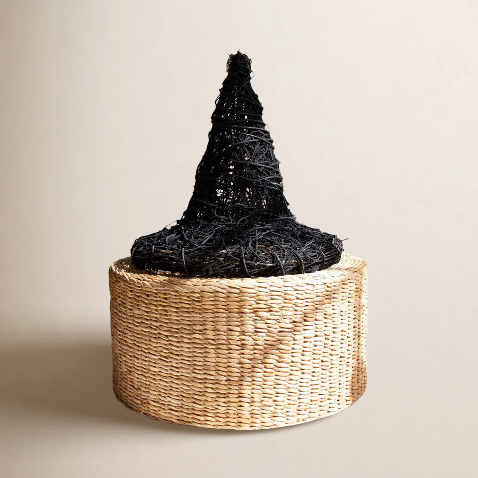 Birch Lane\u2122 Painted Twig Witch Hat Holiday Accent | Birch Lane | Birch Lane