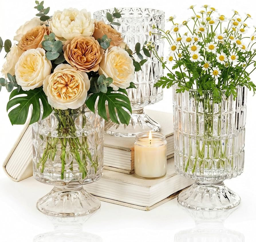 Goaste 3 Pack Embossed Big Base Vase, 7" Crystal Glass Vase, Hydroponic Green Plant Vases, Transp... | Amazon (US)