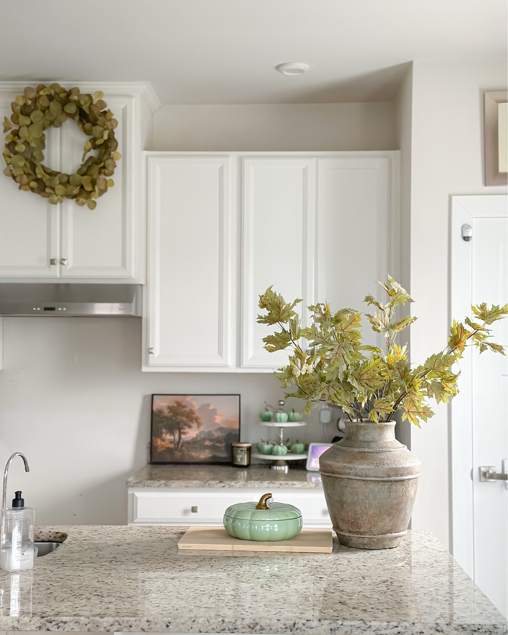 Fall kitchen decor 

#LTKStyleTip #LTKFindsUnder100 #LTKHome