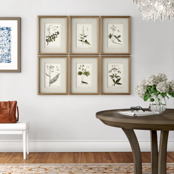 Floral Botanical Study by JENNIFER GOLDBERGER - 6 Piece Picture Frame Graphic Art Set | Wayfair North America