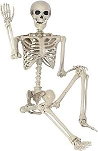 DECORLIFE Pose-N-Stay Skeleton 5FT, Life Size Skeleton, Full Body Posable Halloween Skeleton Deco... | Amazon (US)