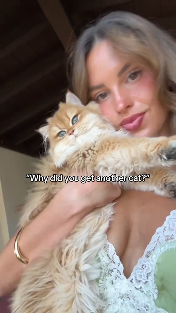   

 #LTKWatchNow #LTKHome #LTKBeauty