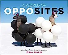 A World of Opposites | Amazon (US)