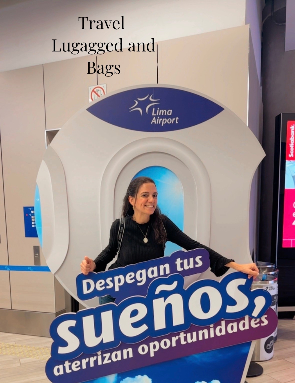 Travel 
Lugagged and
Bags

#LTKvlog #LTKTravel #LTKWedding