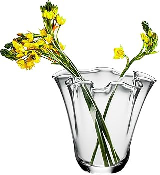 CYS EXCEL Clear Glass 3D Flower with Ruffle Rim Wavy Bouquet Trumpet Vase Unique Modern Home Déc... | Amazon (US)