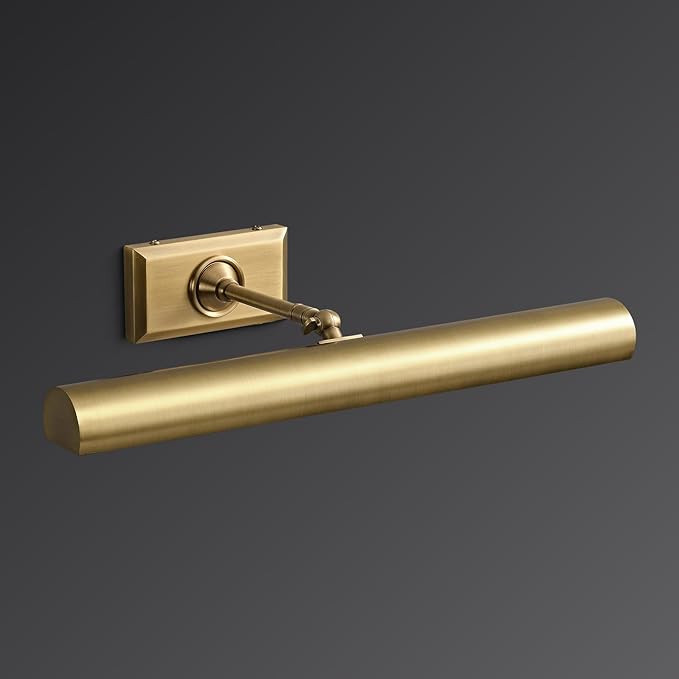 18" Picture Lights for Wall Brass Picture Lights Hardwired Gold Dimmable Gallery Art Light, Rotat... | Amazon (US)