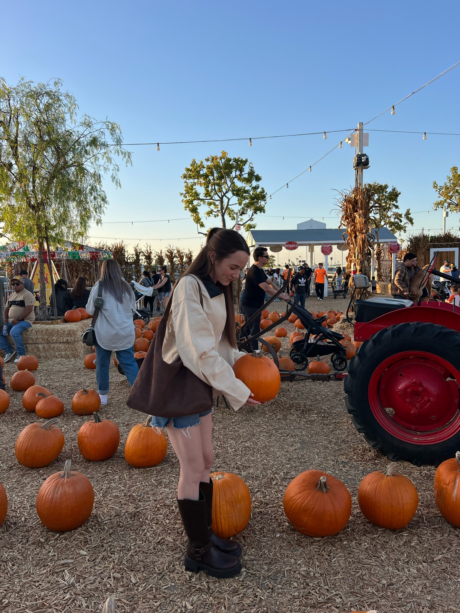 fall festivities 🍂🫶🏼🎃 #falloutfits #fallfashion #pinterestoutfit

#LTKSeasonal #LTKStyleTip #LTKHalloween