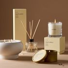 Alura Homescent Collection - Saged Amber | West Elm (US)