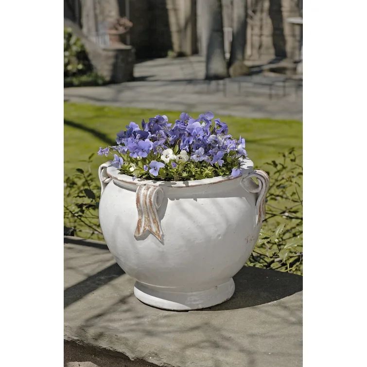 Heliodoro Terracotta Pot Planter | Wayfair North America
