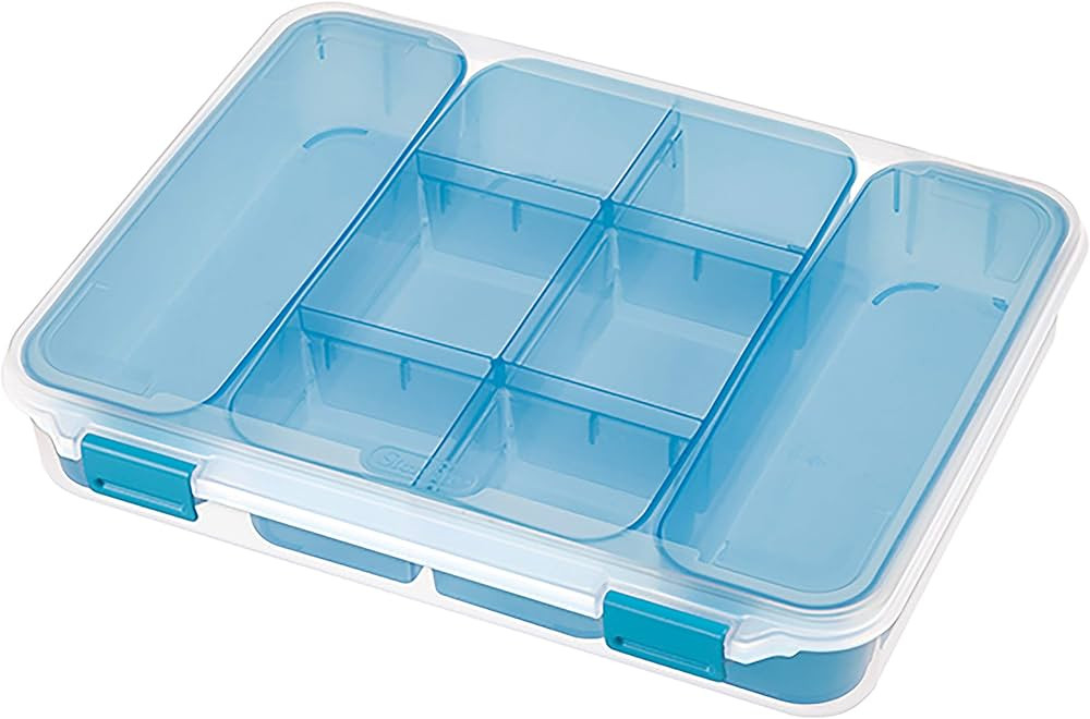 STERILITE Divided Case, Multicolor | Amazon (US)