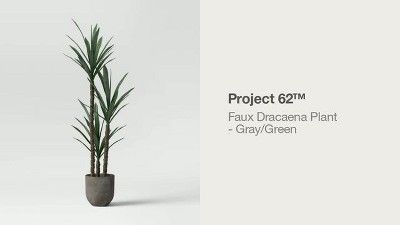 Faux Dracaena Plant Gray/Green - Project 62&#8482; | Target