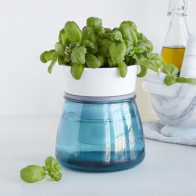 Self-Watering Kitchen Herb Pot | UncommonGoods