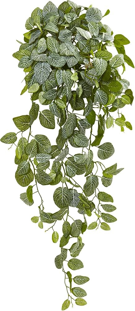 Nearly Natural 36in. Fittonia Hanging Bush Artificial Plant (Set of 2) (Real Touch) | Amazon (US)