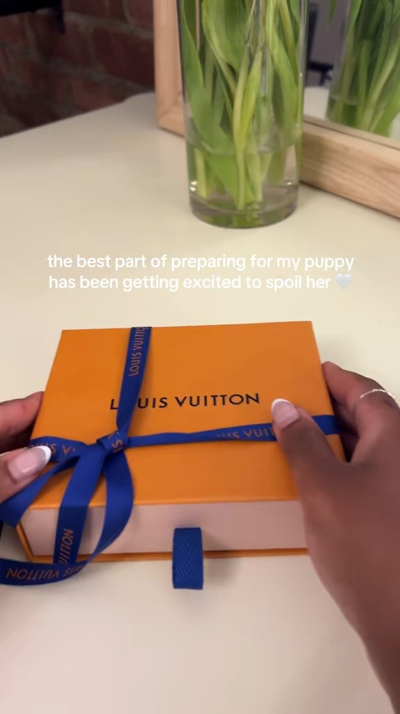 I had no idea LV made dog collars! So cute 🤎