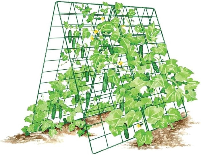 Gardener's Supply Company Deluxe Cucumber Trellis (Green) | Powder Coated Steel Vegetable Support... | Amazon (US)