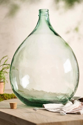 Bottle Garden Terrarium Kit, Extra Large | Anthropologie (US)