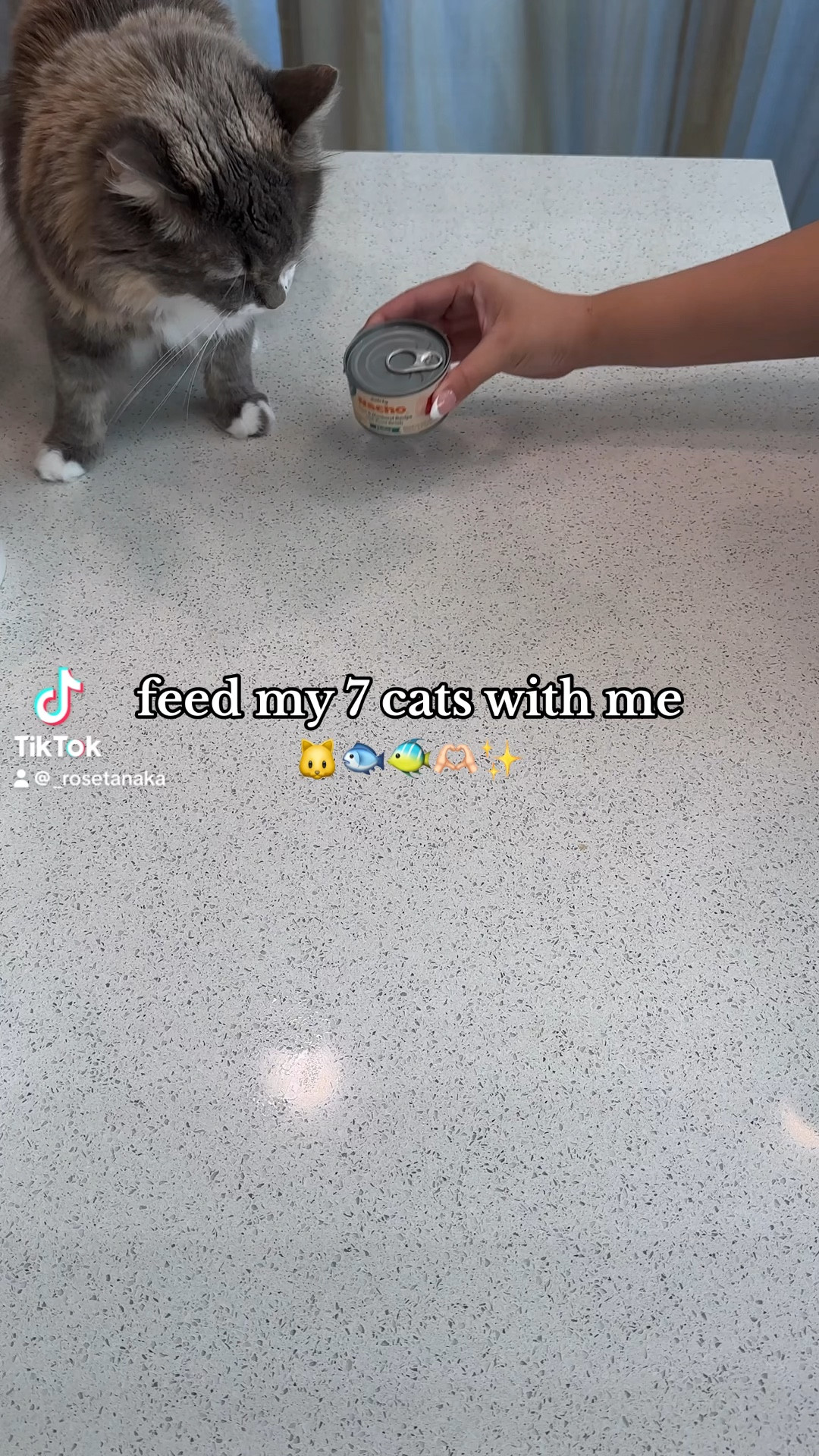 Feed my cats with me!

#LTKFindsUnder100 #LTKHome #LTKVideo