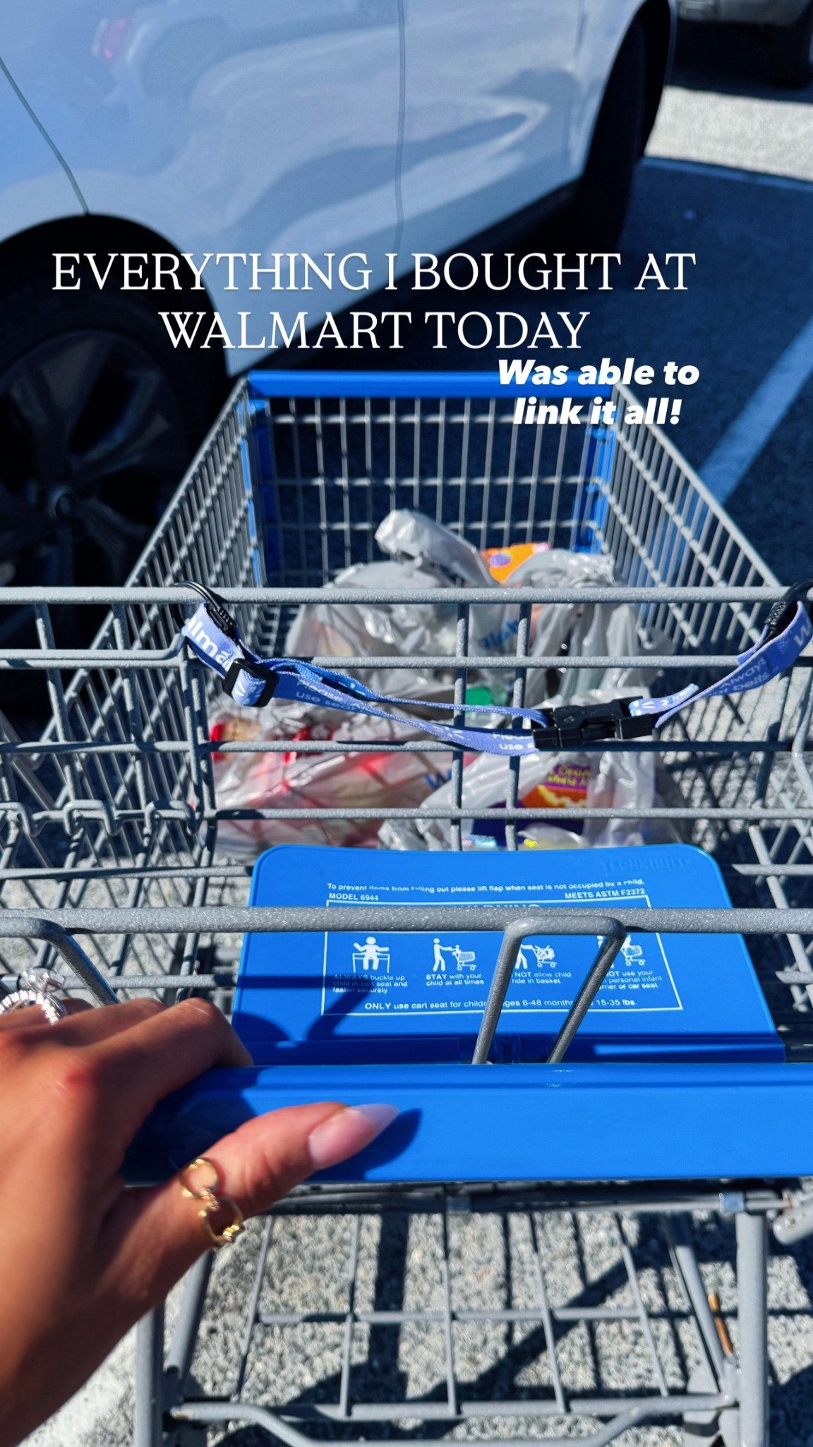 What I bought at Walmart today! Lots of cute Christmas goodies and decor! 