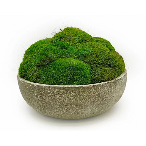Ivy Guild Stoneware Moss Bowl 15 | Gracious Style