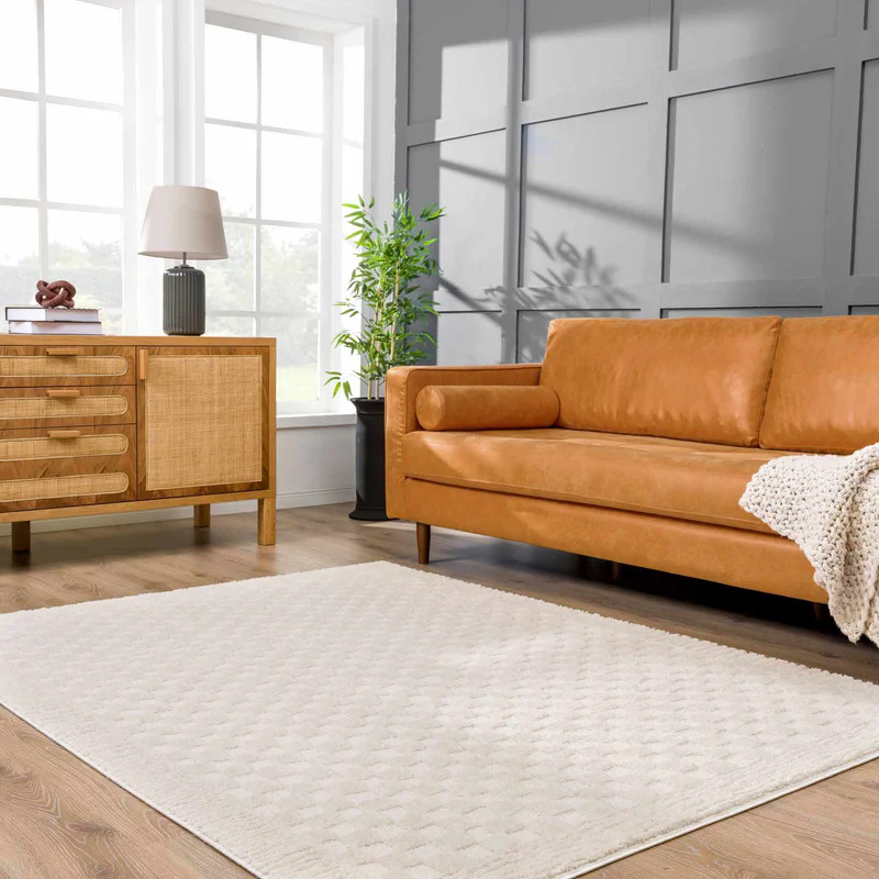 Leryn Ivory Checkered Area Rug | Boutique Rugs