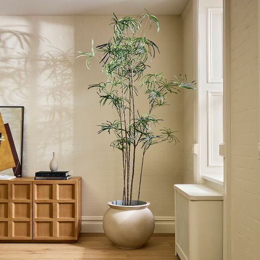 Faux Potted Australian Bottleneck Tree | West Elm (US)